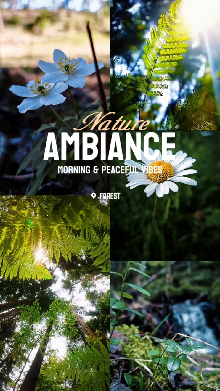 Ambience ng kalikasan