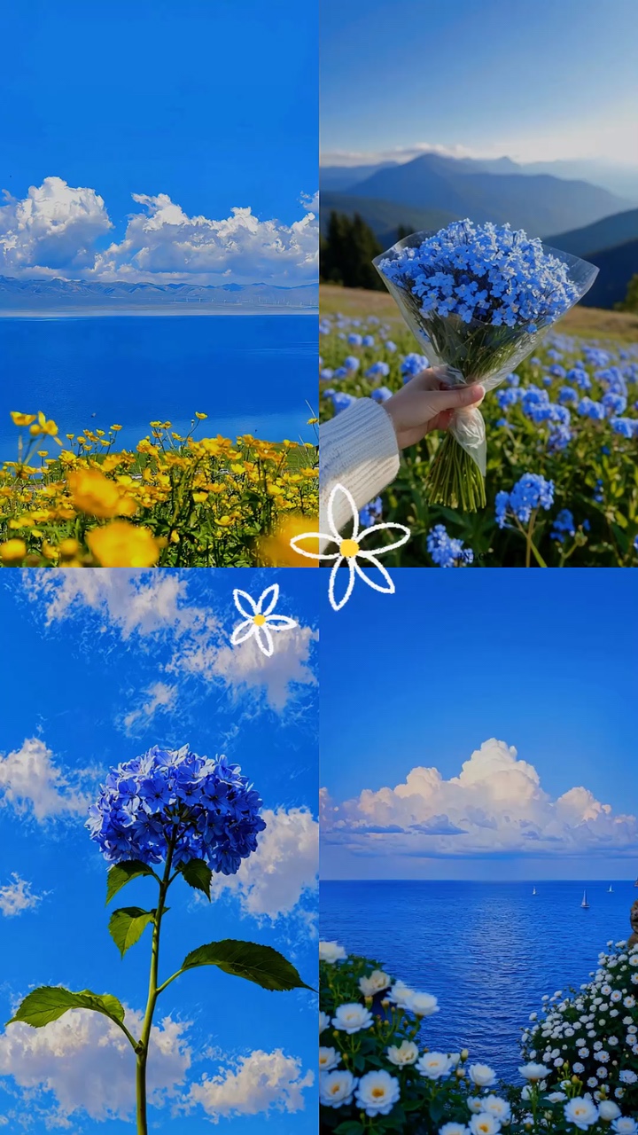 Céu florido 