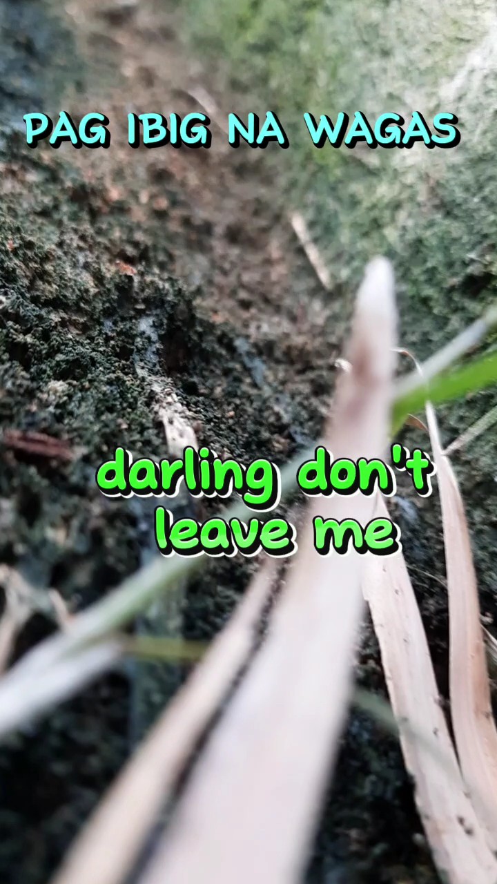 HUGOT MUNA ENGRAÇADO 