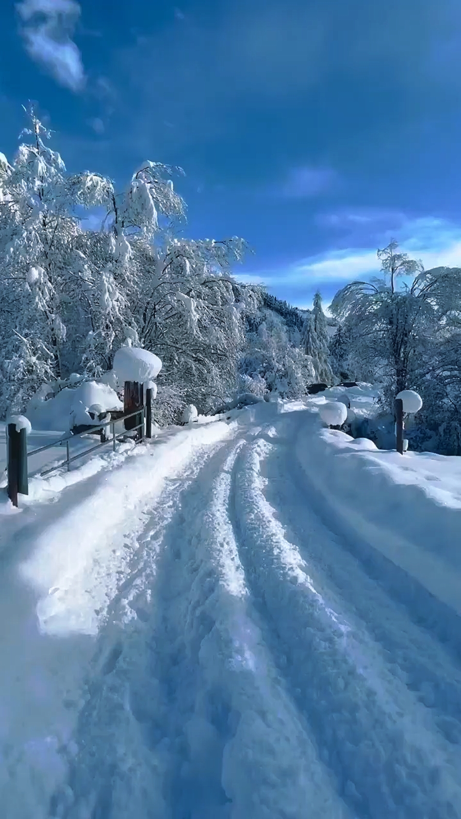 Winter Snow