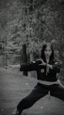 melodi sagita