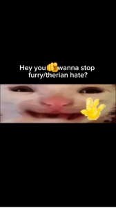 I got asked to add 