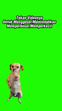 helikopter 