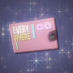 Take me in my wallet