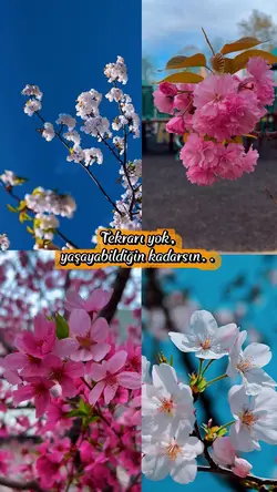 tekrarı yok hayatın 
