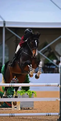 Epic jump 