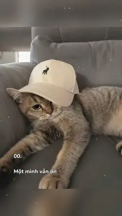 mẫu 1 ảnh