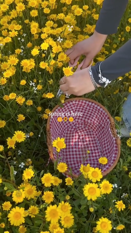 Der Frühling ist da 