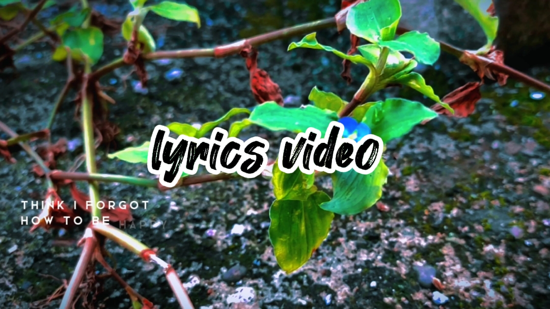 lyrics template|cine
