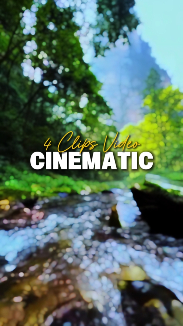 4 Clips Video 