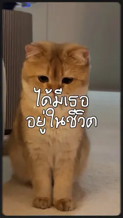 เพลง ขอแค่นี้ - PUN 💞