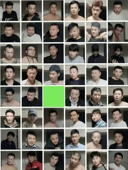 Trend Hồng Tỷ TQ