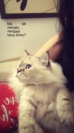 Kebutuhan hati lirik