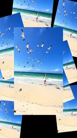 14 video or photo