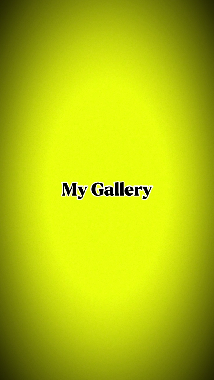 MEINE GALERIE _ PK