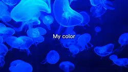 FAVORIT COLOR