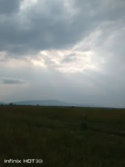 သီးသန့်ဖြစ်တည်မှု