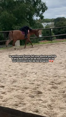 Mon Videl ❤️‍🩹✨