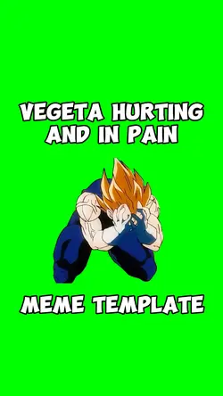 Vegeta in pain meme