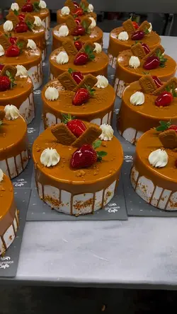 CAKES TRANSITION 