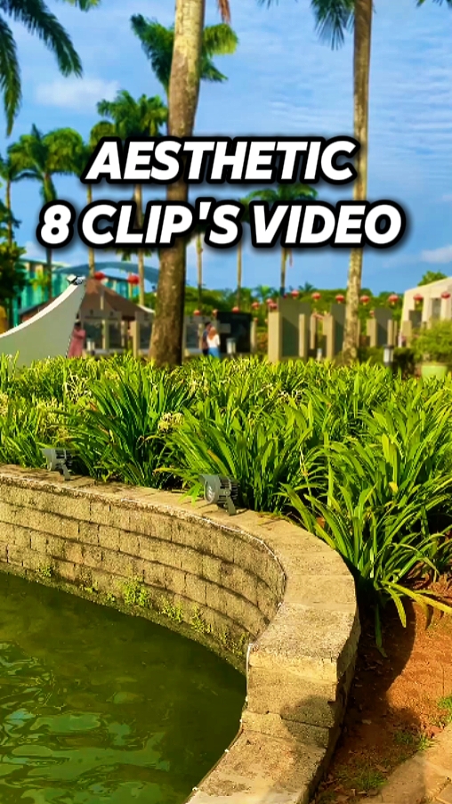 8 Video Aesthetic 