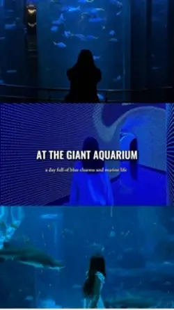 aquarium