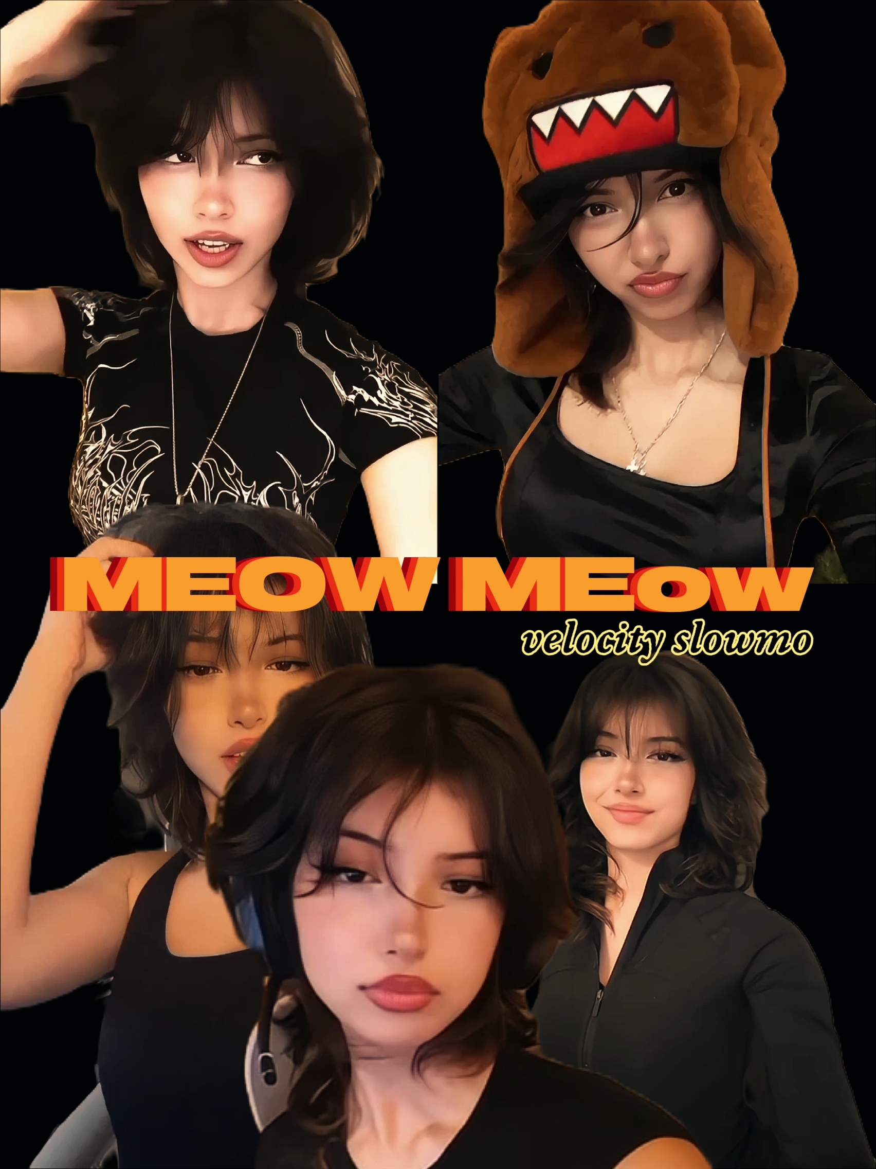 MEOW MEOW VELOCITY 