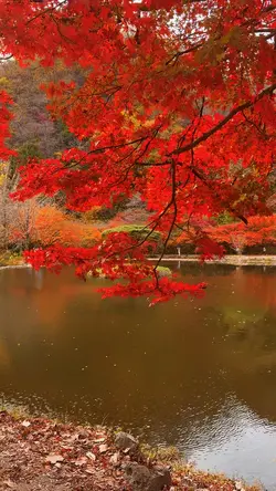 가을 🍂🍁