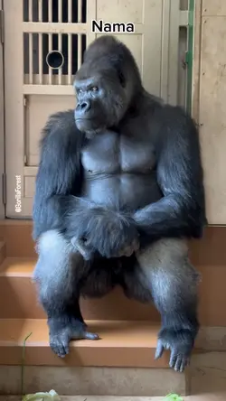 bingung nyari hutang