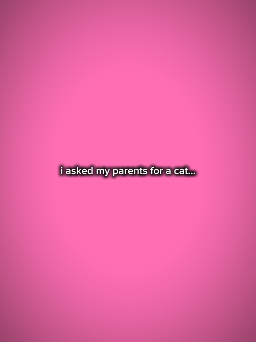 askedmyparentsforcat