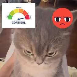 CORTISOL