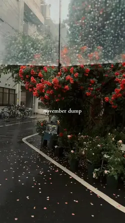 November dump