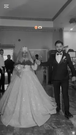 Dillere destaan 🫀