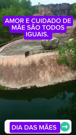 dia das mães 
