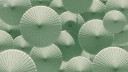 化粧