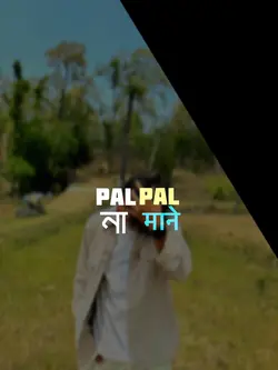 nagin nagin 