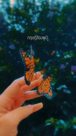 ความรักทฤษฎีสีชมพู