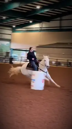 I luvd this horse sm