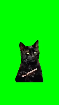 BLACK CAT FILING