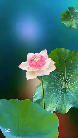 3Dwallpape