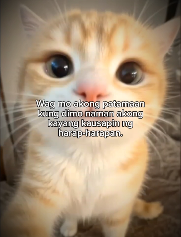 harap-harapan kaya?
