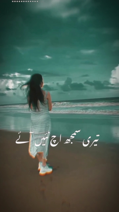 تیری سمجھ سچ نئی آئے