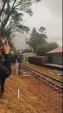Lost Woods market