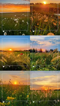 INSTA PARADISE