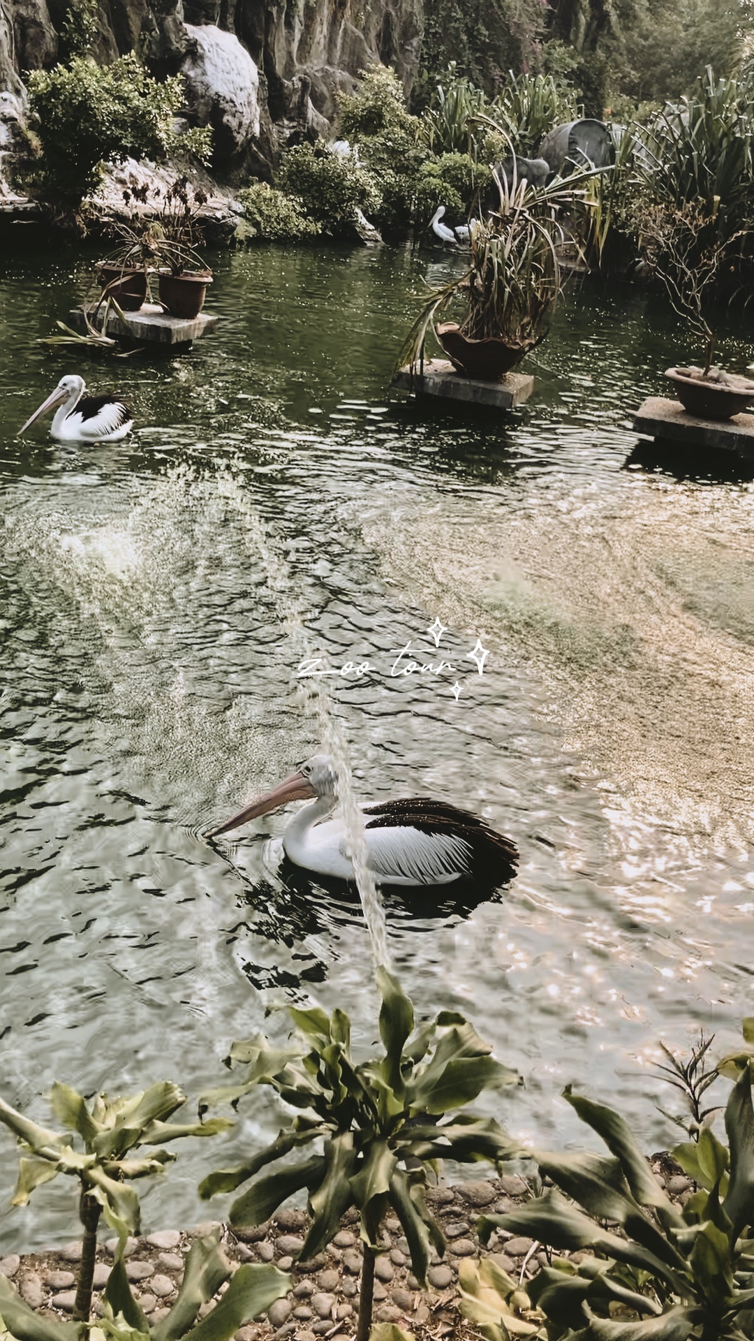 zoo tour