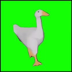 Duck moves 