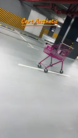Cart Aesthetic