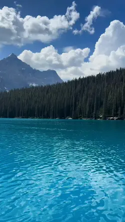 calming