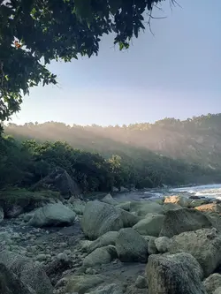 Petir Dalam Hutan
