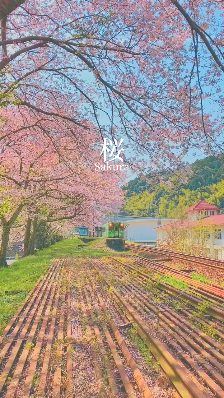 #### 